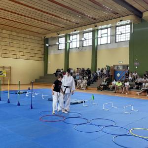 Galleria Festa Karate 2023 10