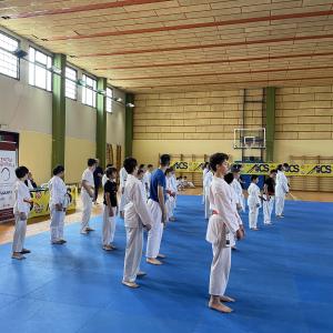 Galleria Festa Karate 2023 16