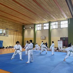 Galleria Festa Karate 2023 18