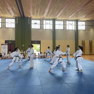 Galleria Festa Karate 2023 19