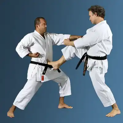 karate shotokan tradizionale